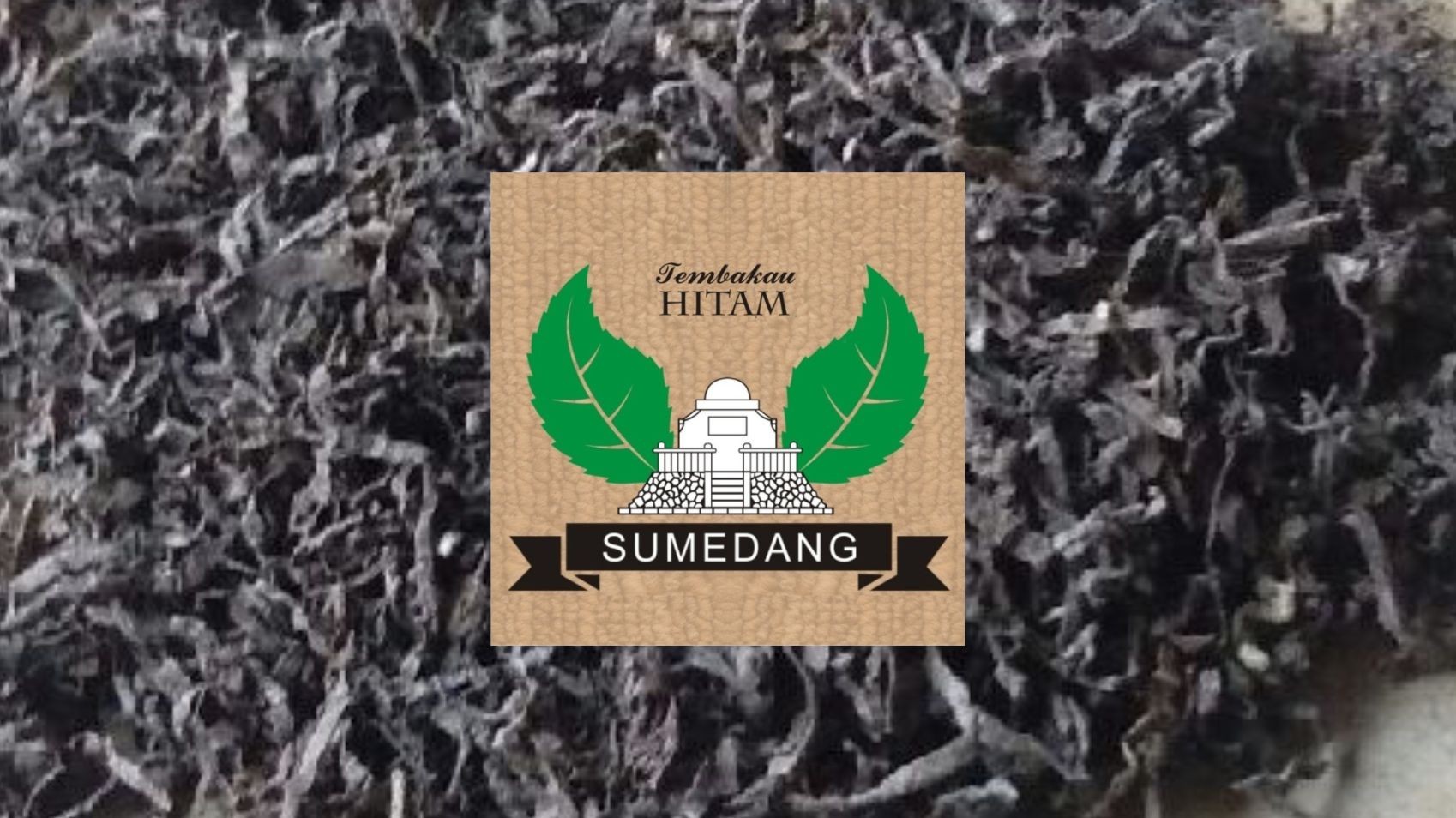 Sumedang Black Tobacco