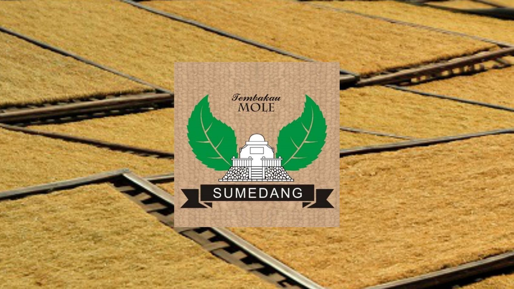 Sumedang Mole Tobacco