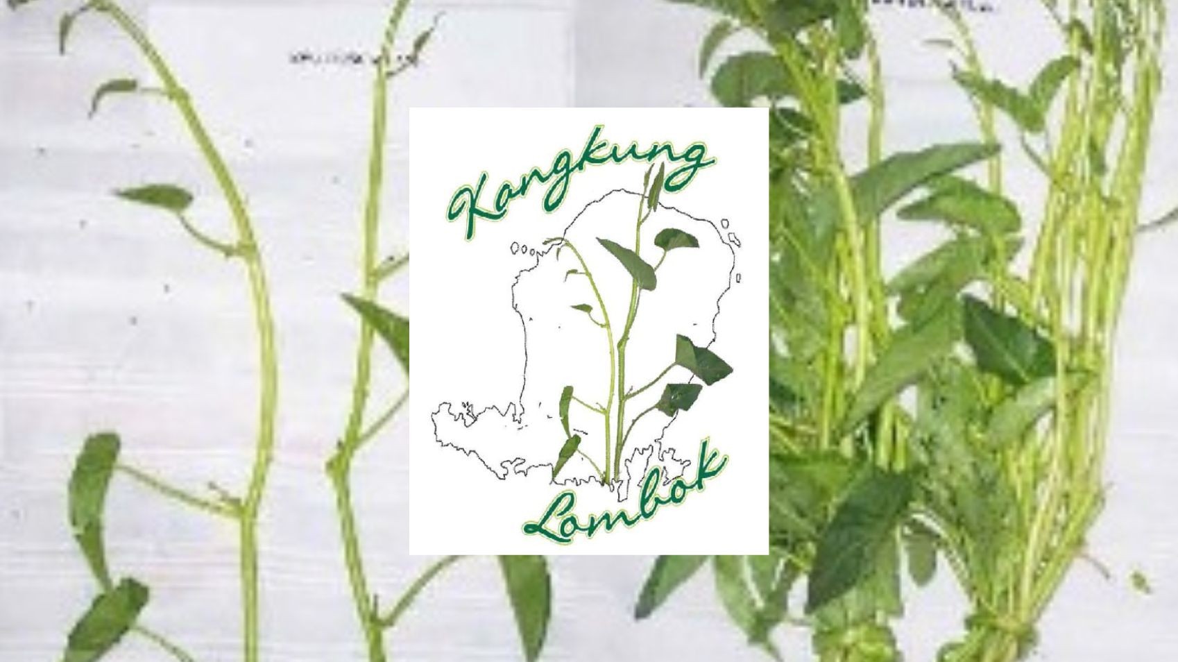 Lombok Water Spinach