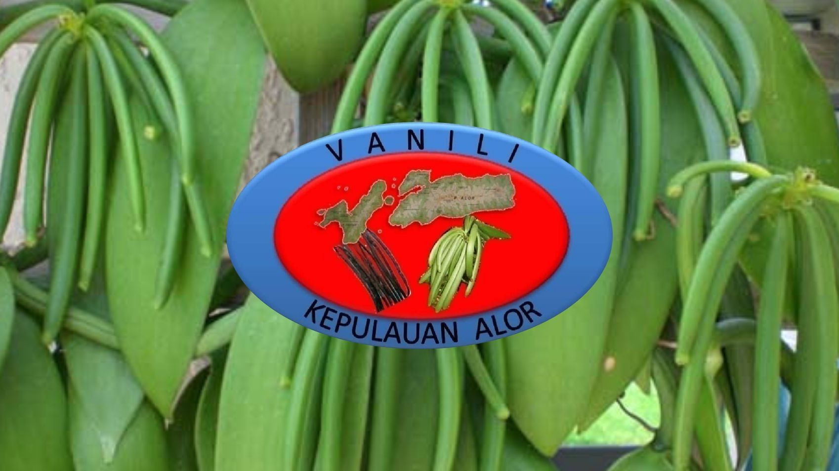 Alor Archipelago Vanilla 