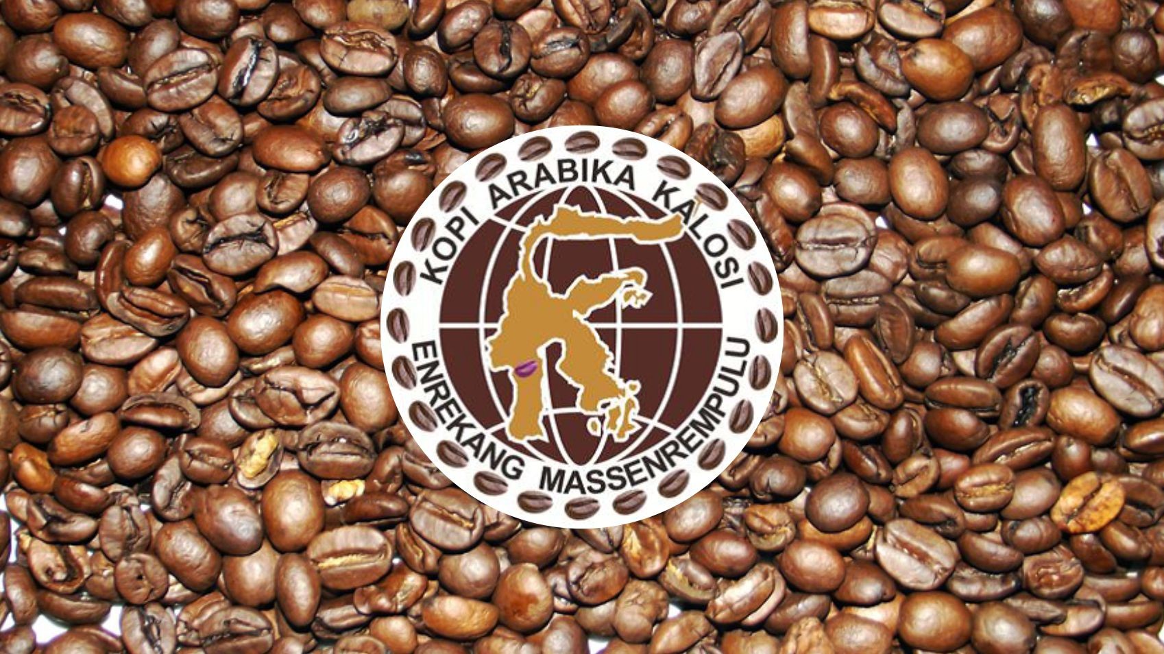 Kalosi Enrekang Arabica Coffee