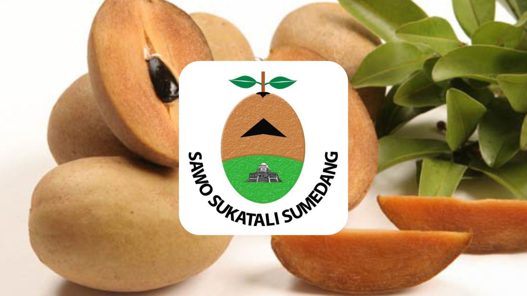 Sukatali Sumedang Sapodilla