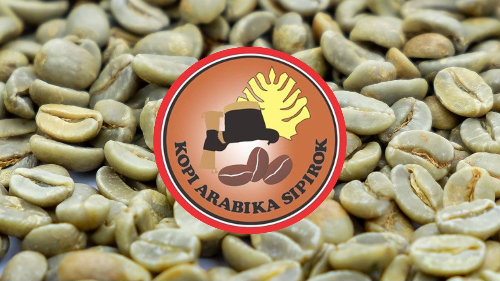 Sipirok Arabica Coffee