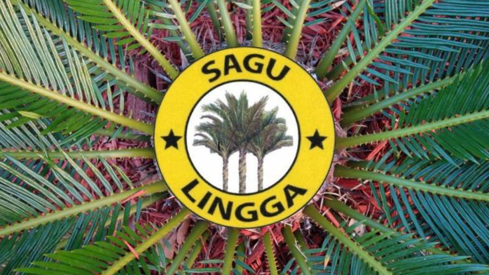 Lingga Sago
